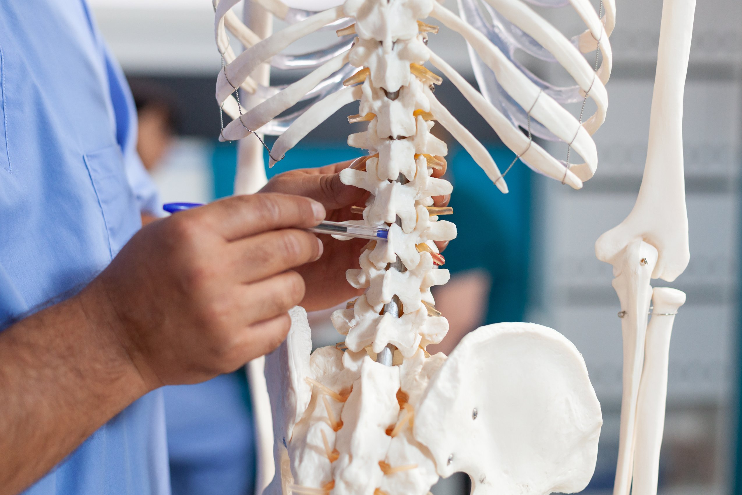 Close up of nurse pointing at spine bones on human skeleton